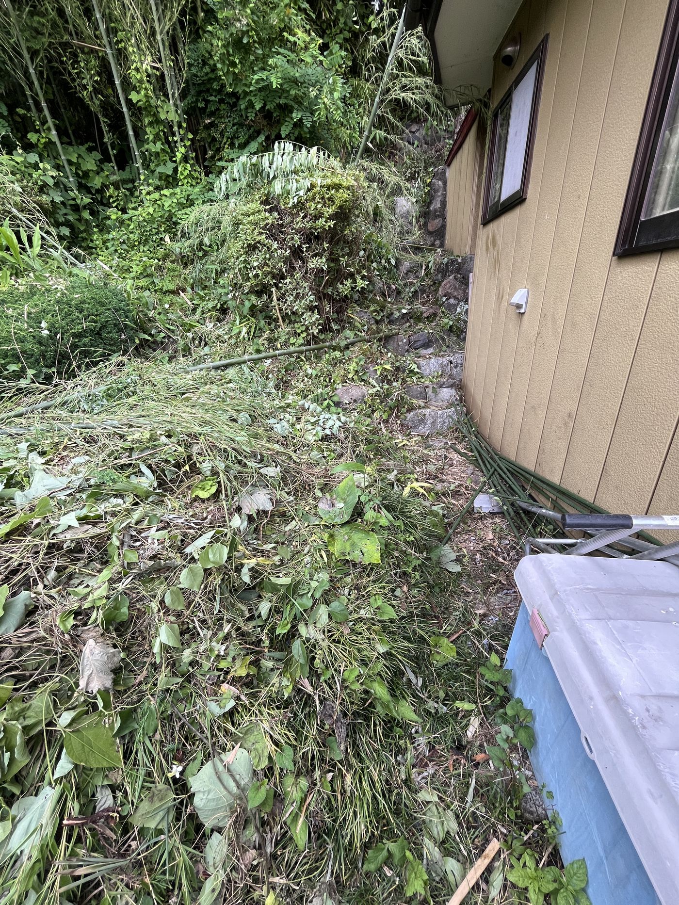 夏の現場。草刈りを終えた家まわり